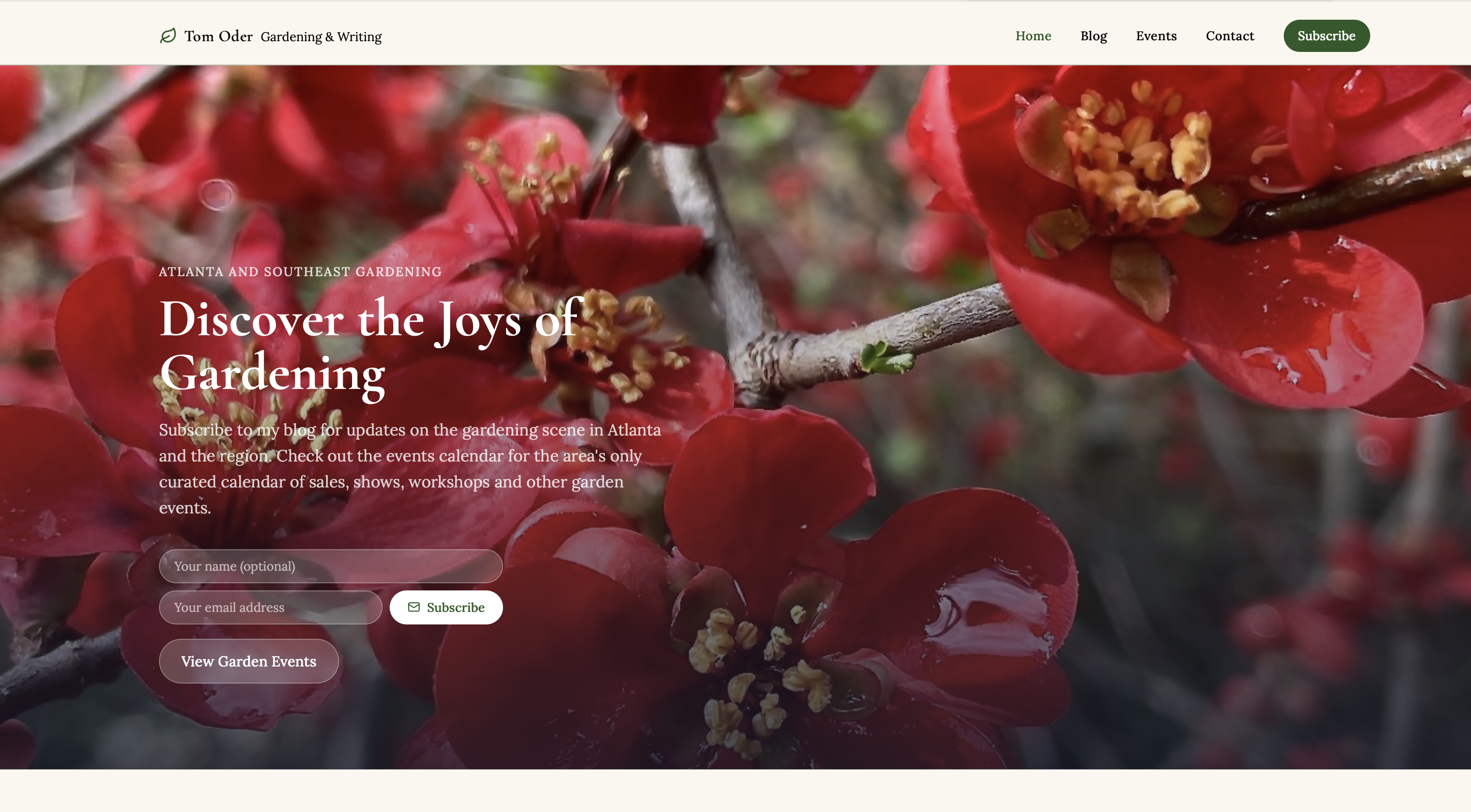 New look tomoder.com homepage